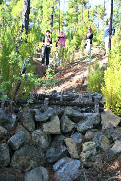 Soil erosion measures in a burnt area