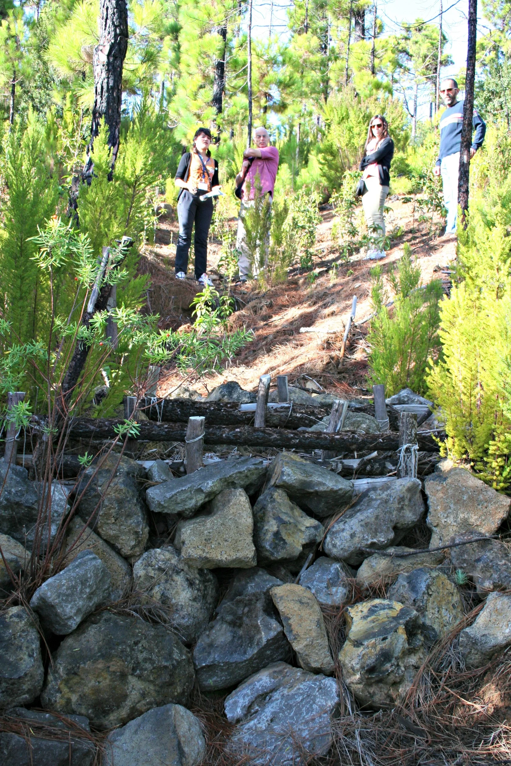 Soil erosion measures in a burnt area