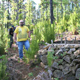Wood and stone walls for soil conservation
