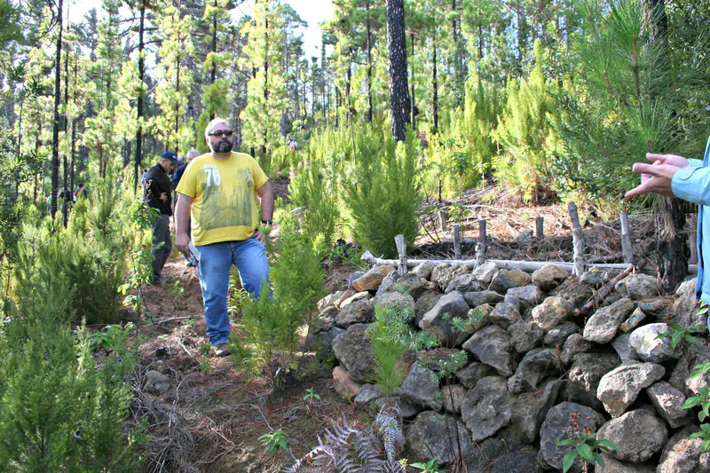 Wood and stone walls for soil conservation