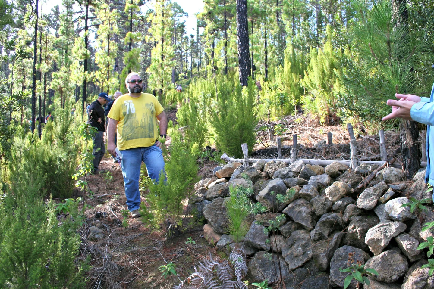 Wood and stone walls for soil conservation