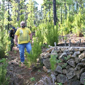 Wood and stone walls for soil conservation