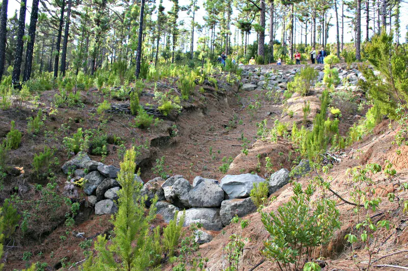 Soil erosion control structures