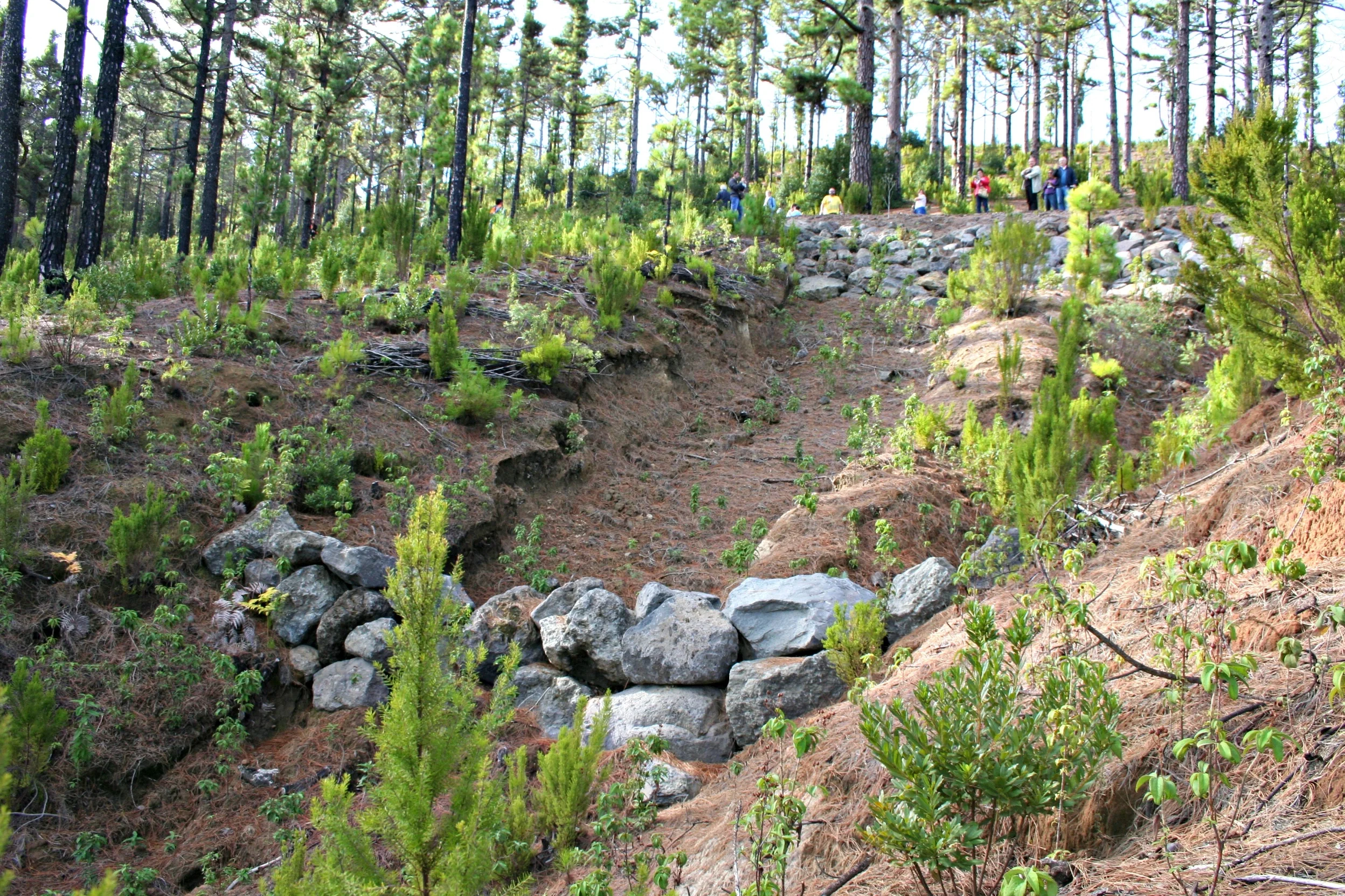 Soil erosion control structures