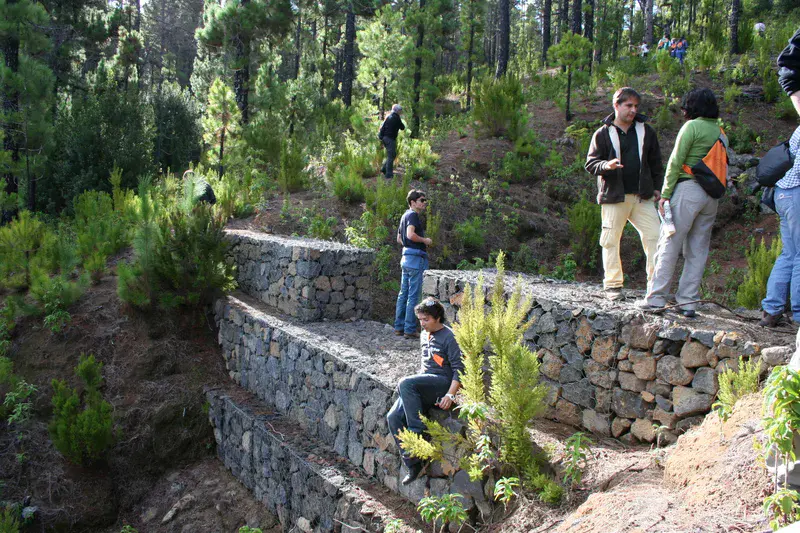Gabions for soil erosion control