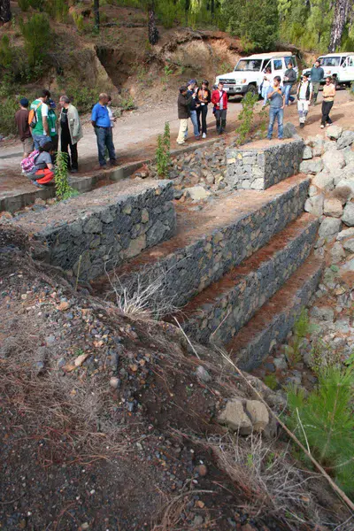 Gabions for soil erosion control