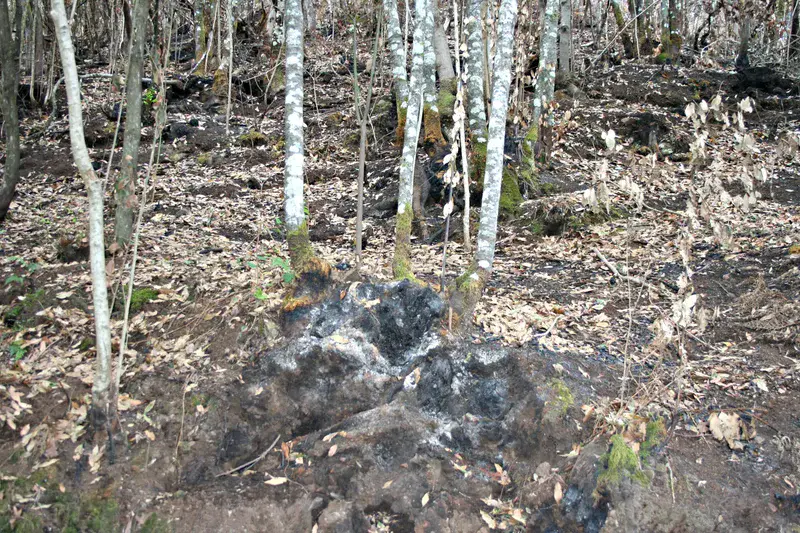 Peat fire