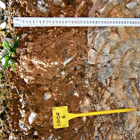 Calcaric Leptic Regosol