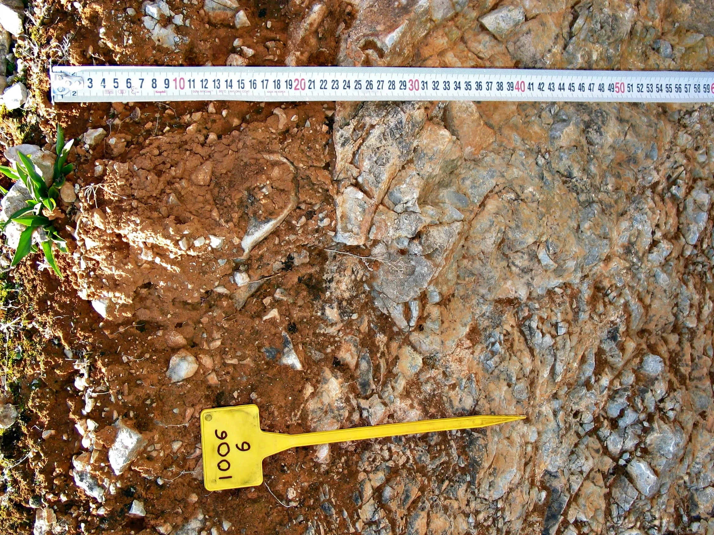 Calcaric Leptic Regosol