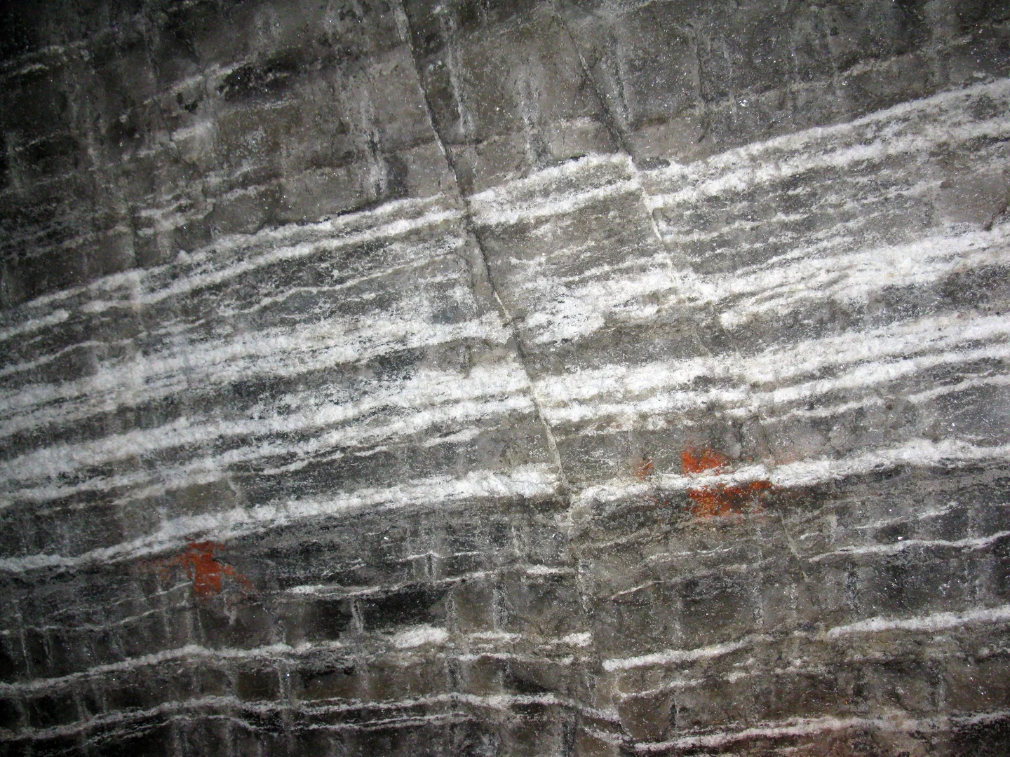 Salt Faults