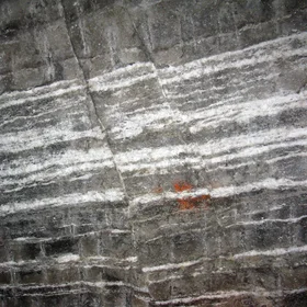 Salt Faults