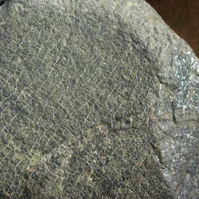 Fractured Serpentinite