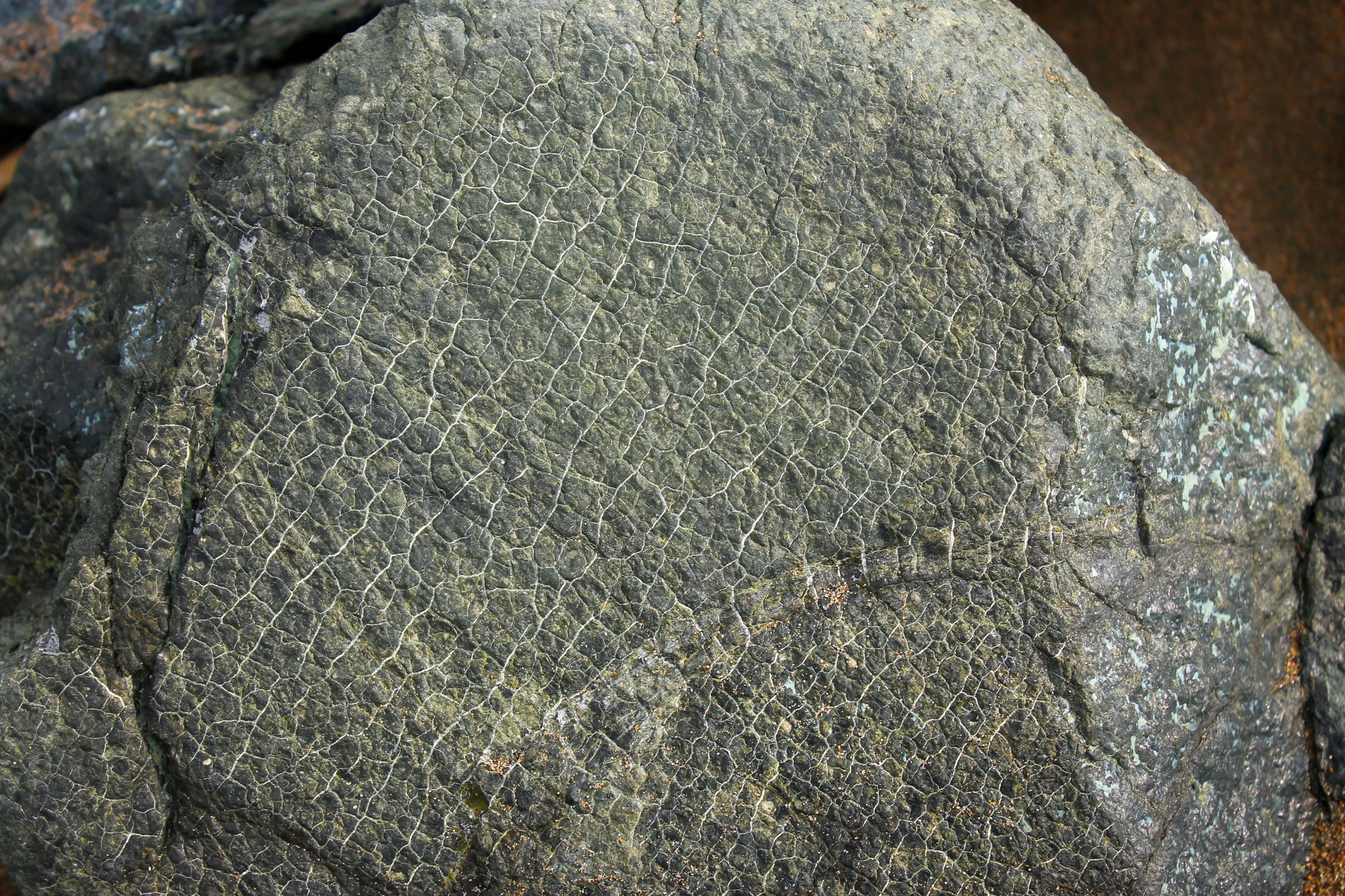 Fractured Serpentinite