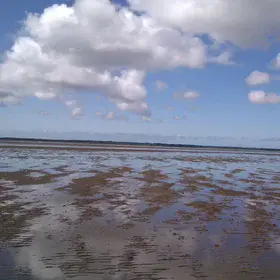 Sand ripples 
