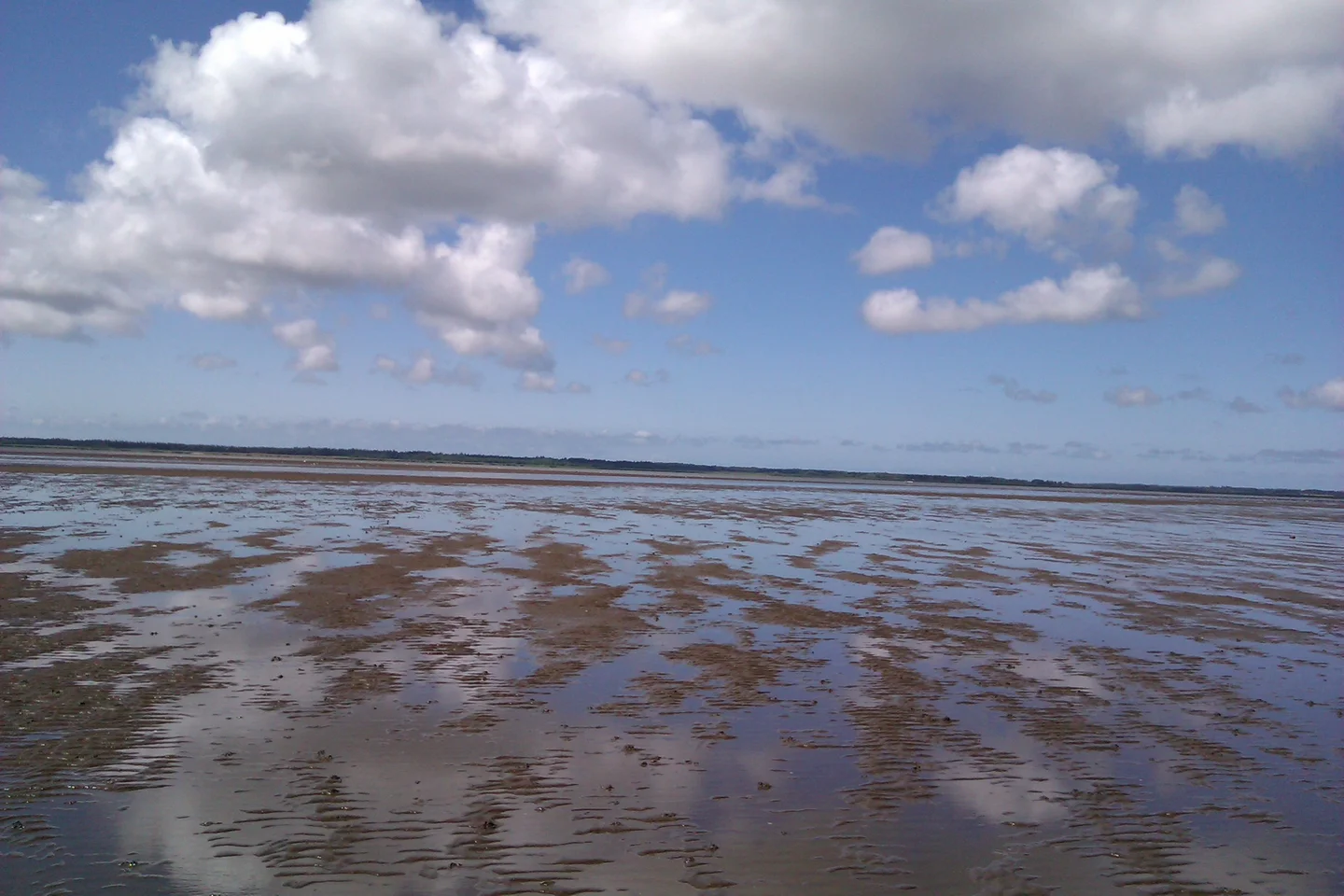 Sand ripples 
