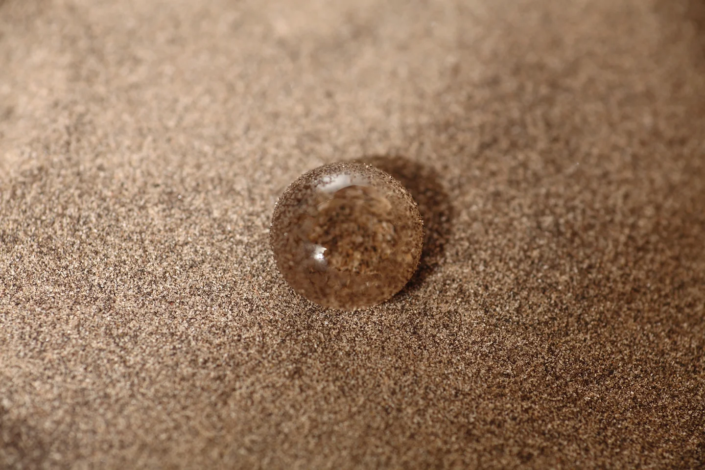 You don't form in the wet sand