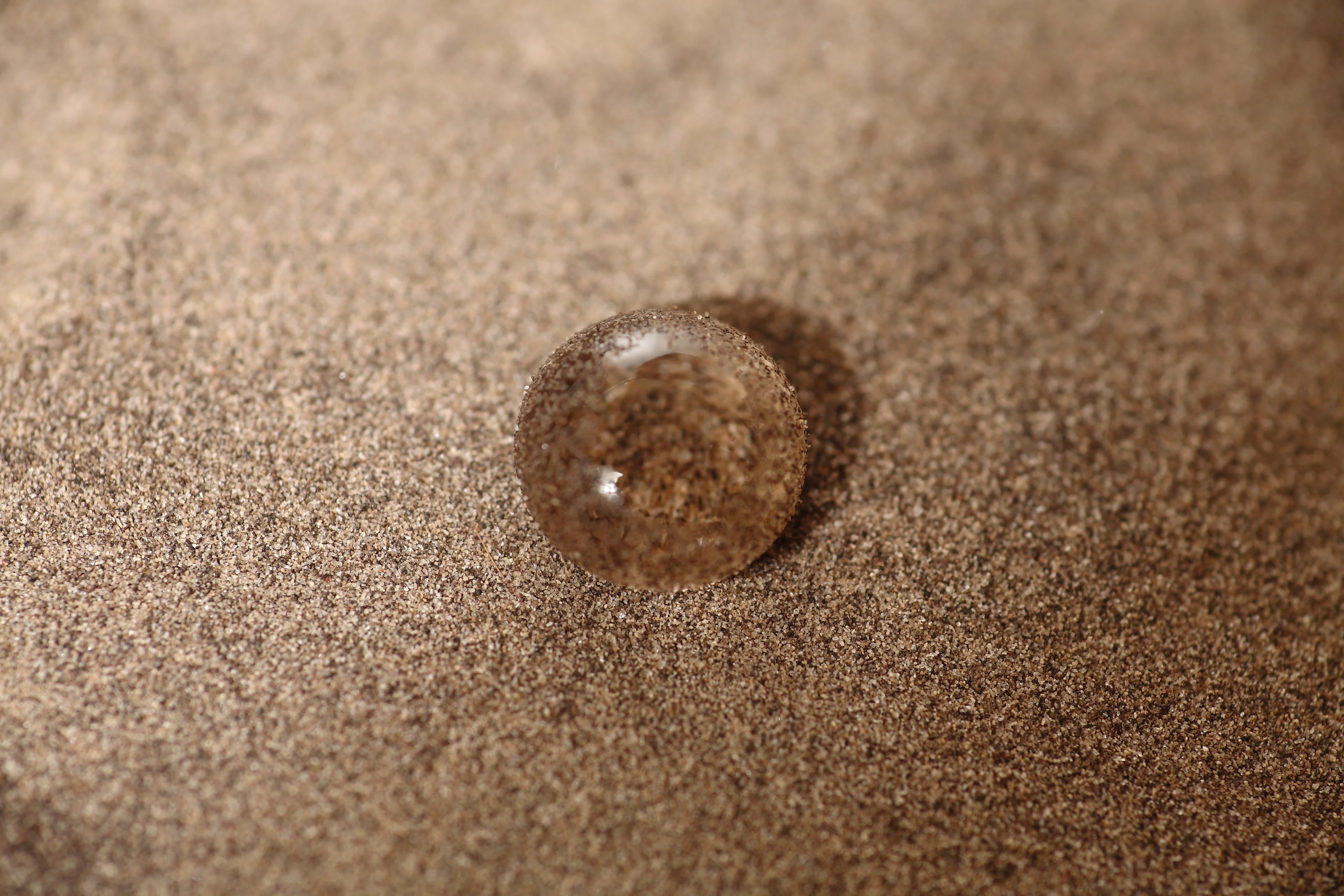 You don't form in the wet sand