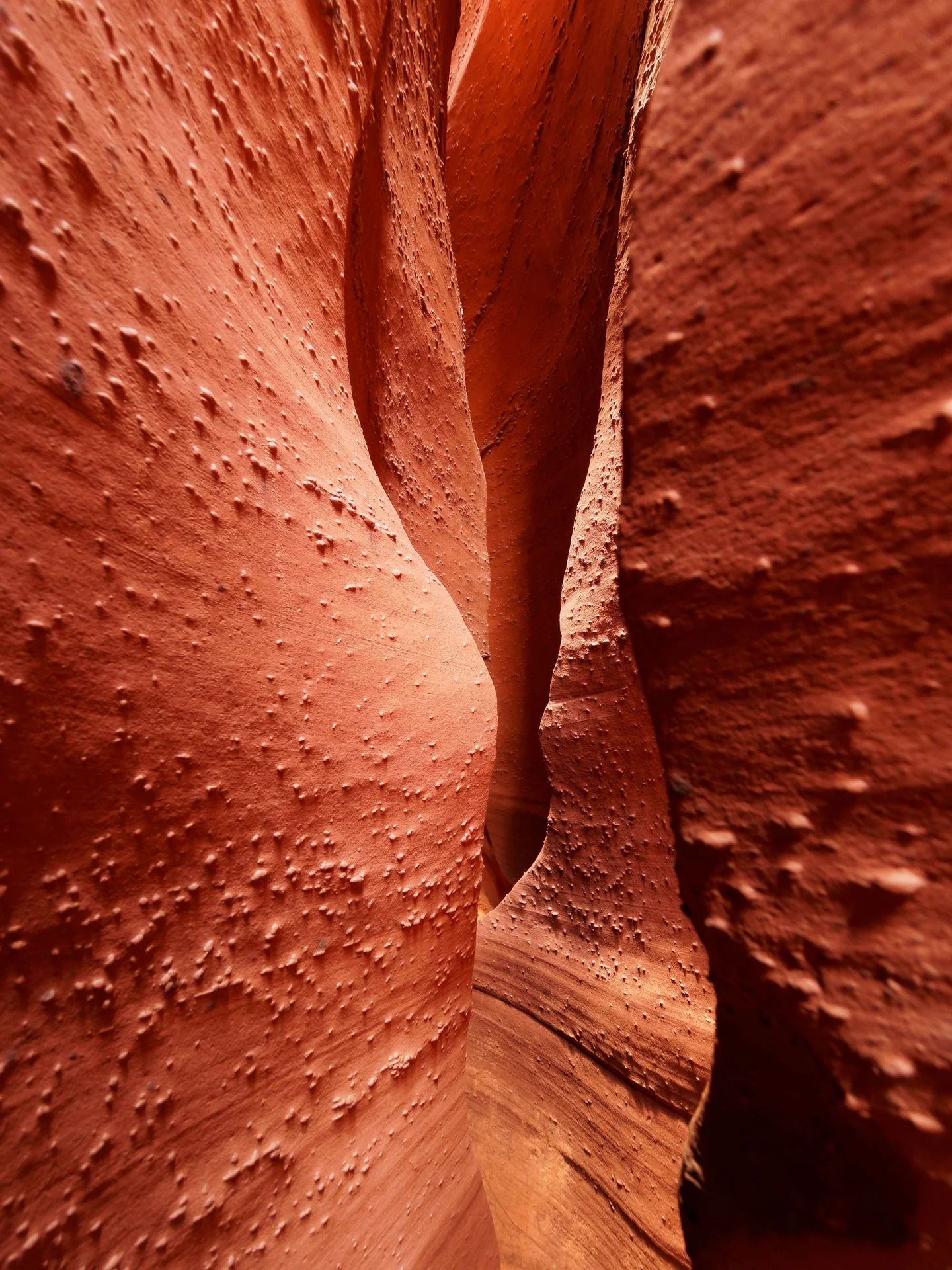 Spooky Gulch