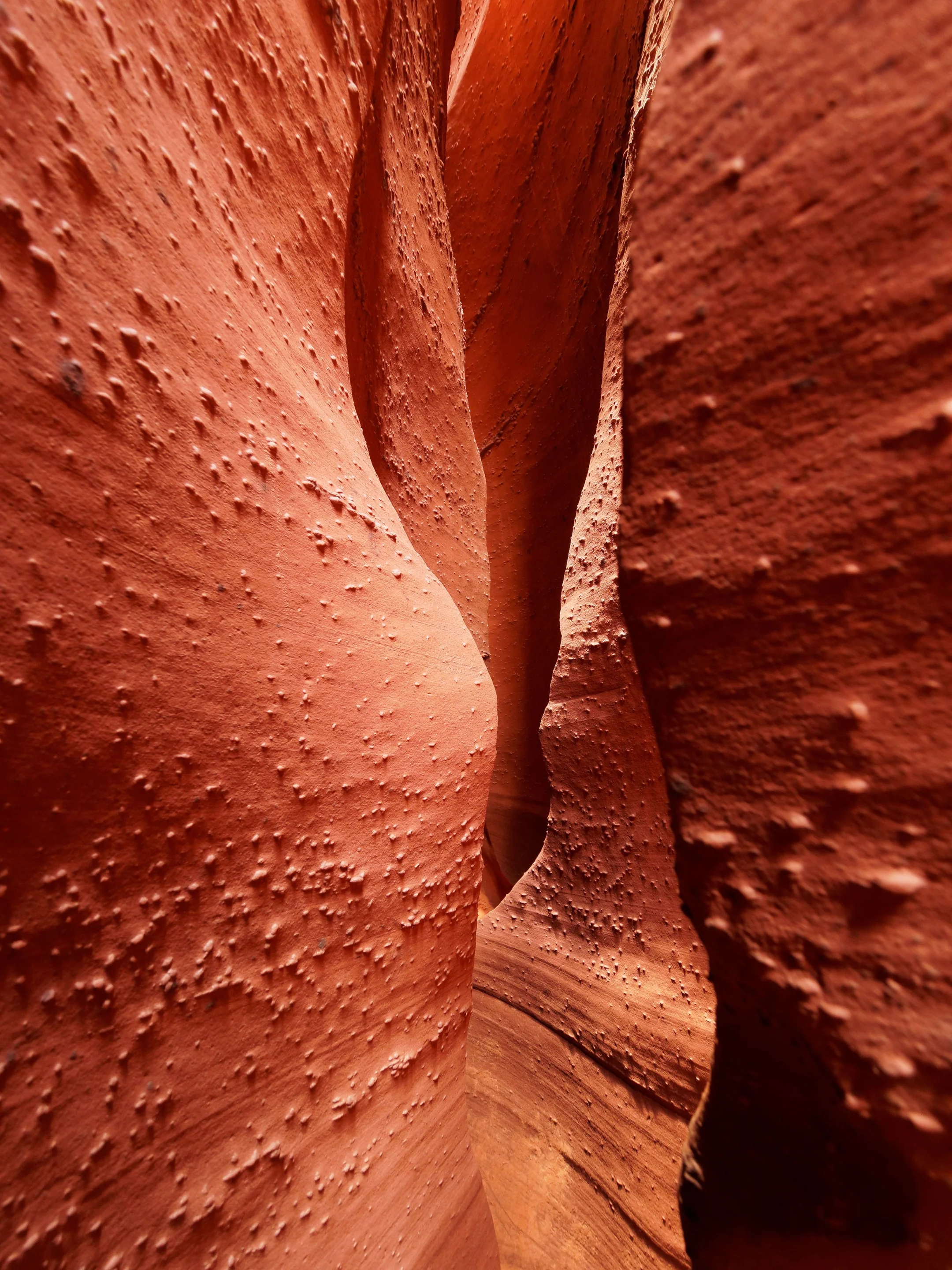 Spooky Gulch
