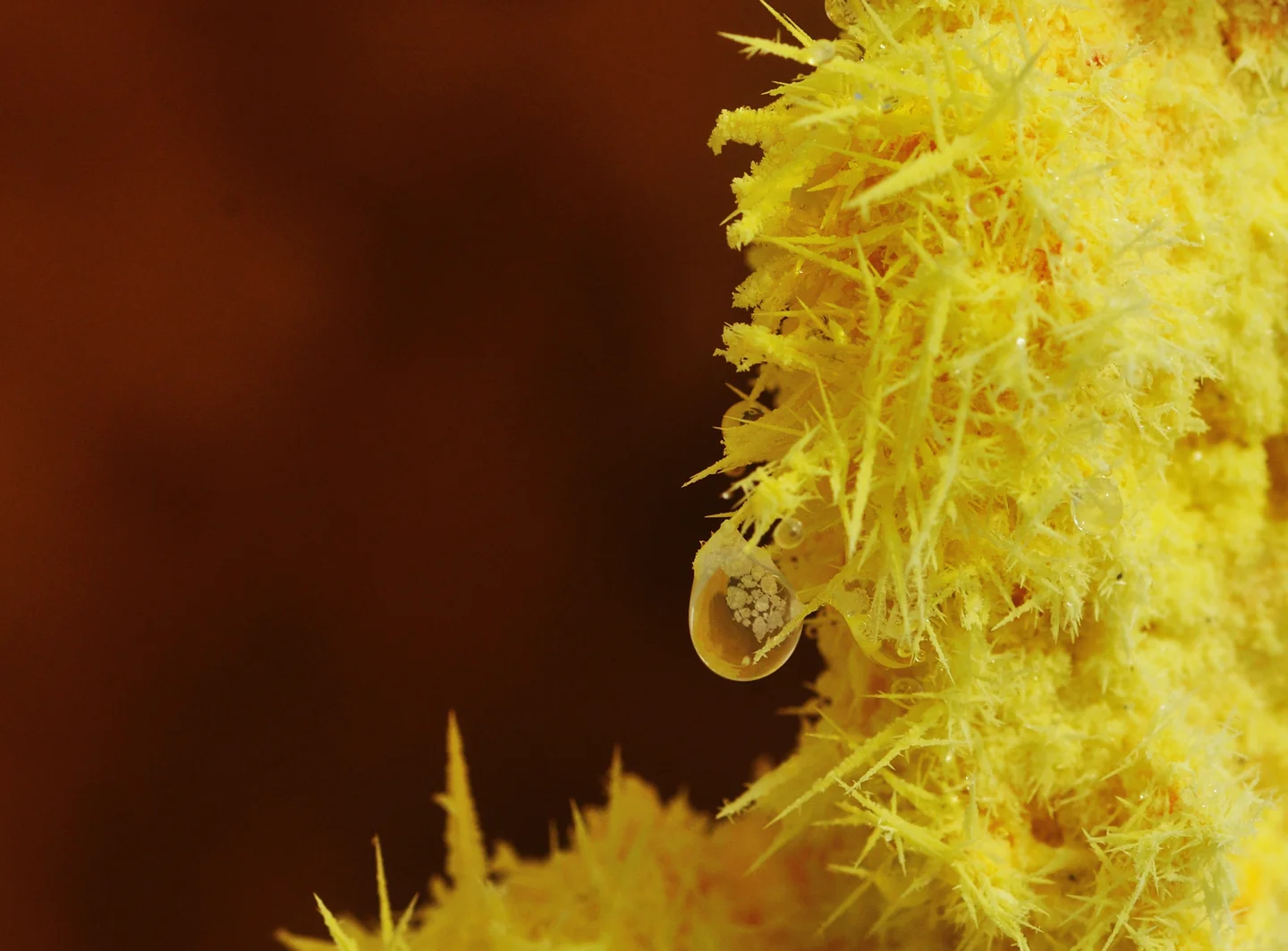 Condensation drop on sulphur
