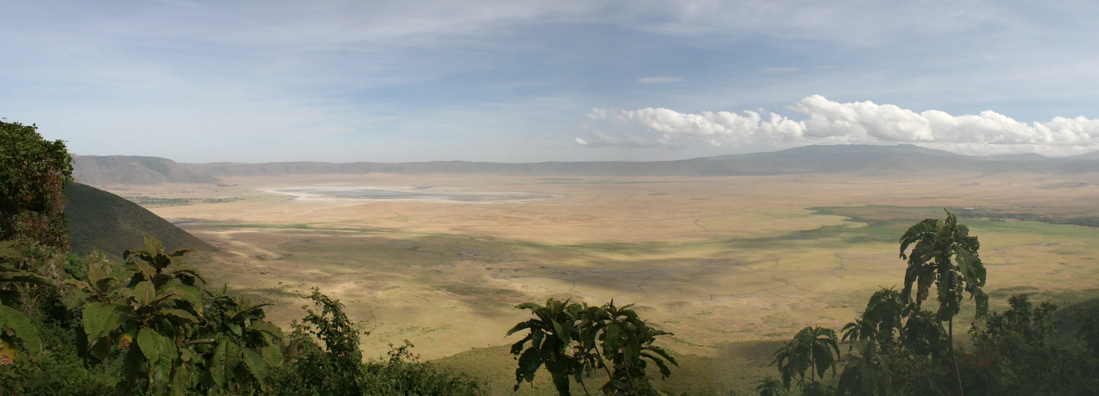 Vast grassland stretches to distant hills under a partly cloudy sky.