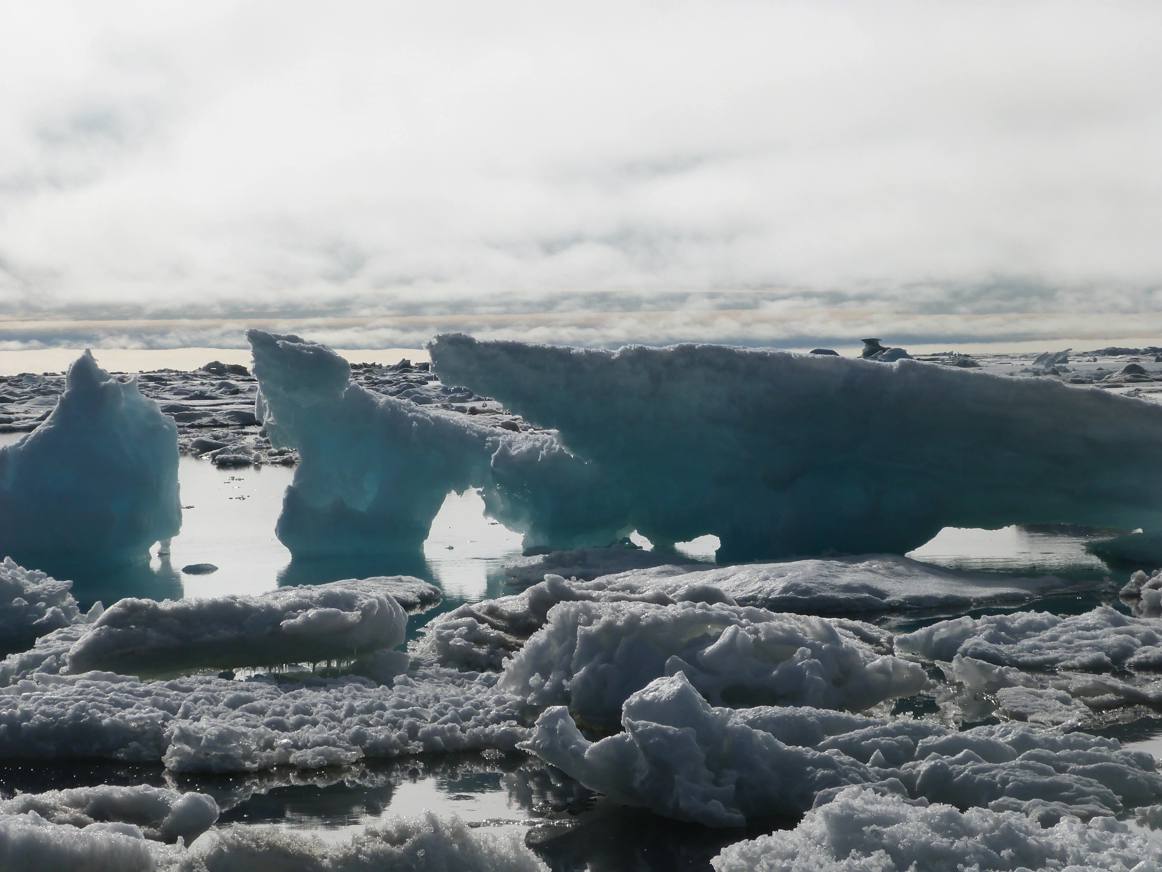 Sea Ice