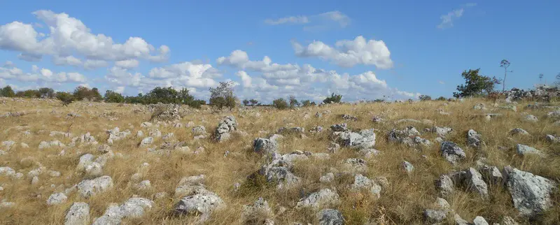Rocky outcrops of limestone in a natural landscape in Apulia, Italy