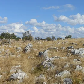 Rocky outcrops of limestone in a natural landscape in Apulia, Italy