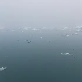 Misty morning in Greenland Fjord