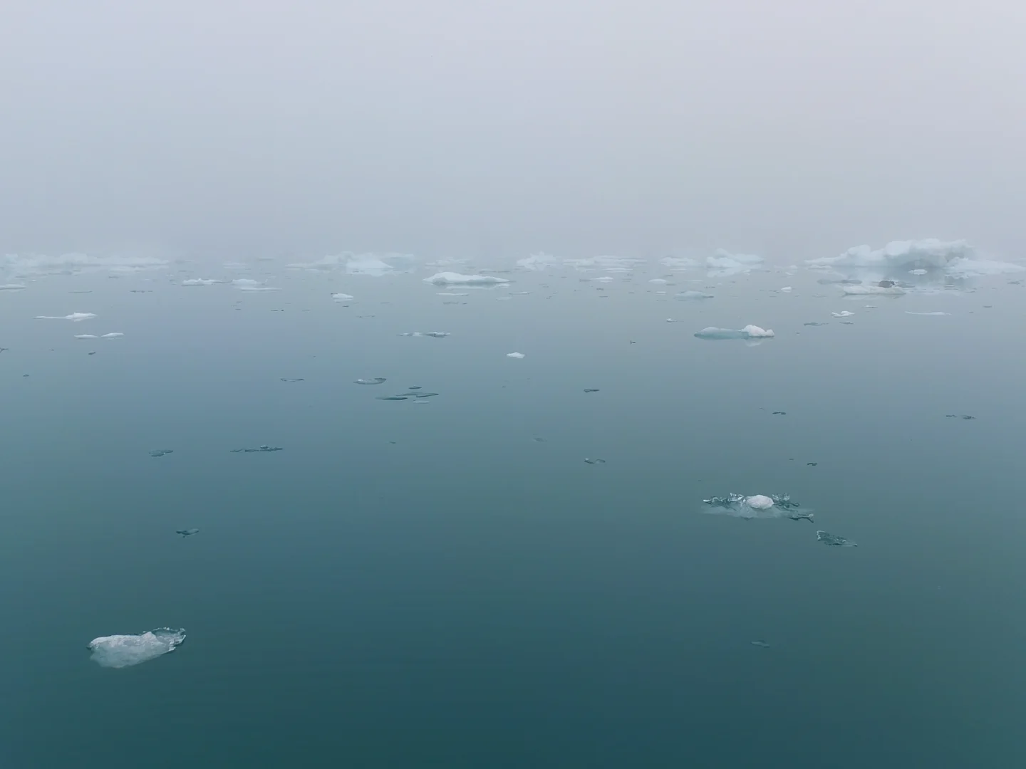 Misty morning in Greenland Fjord