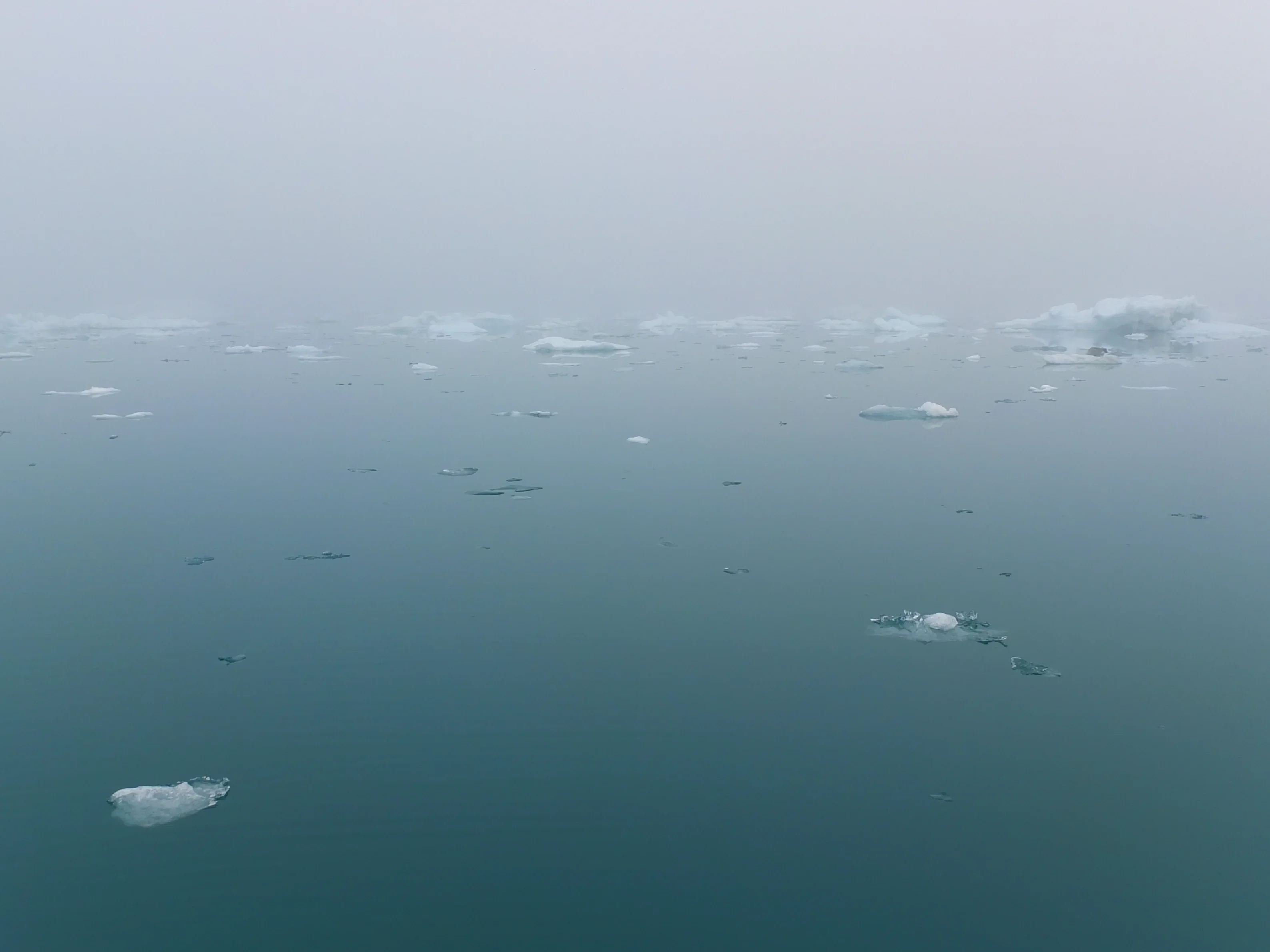 Misty morning in Greenland Fjord