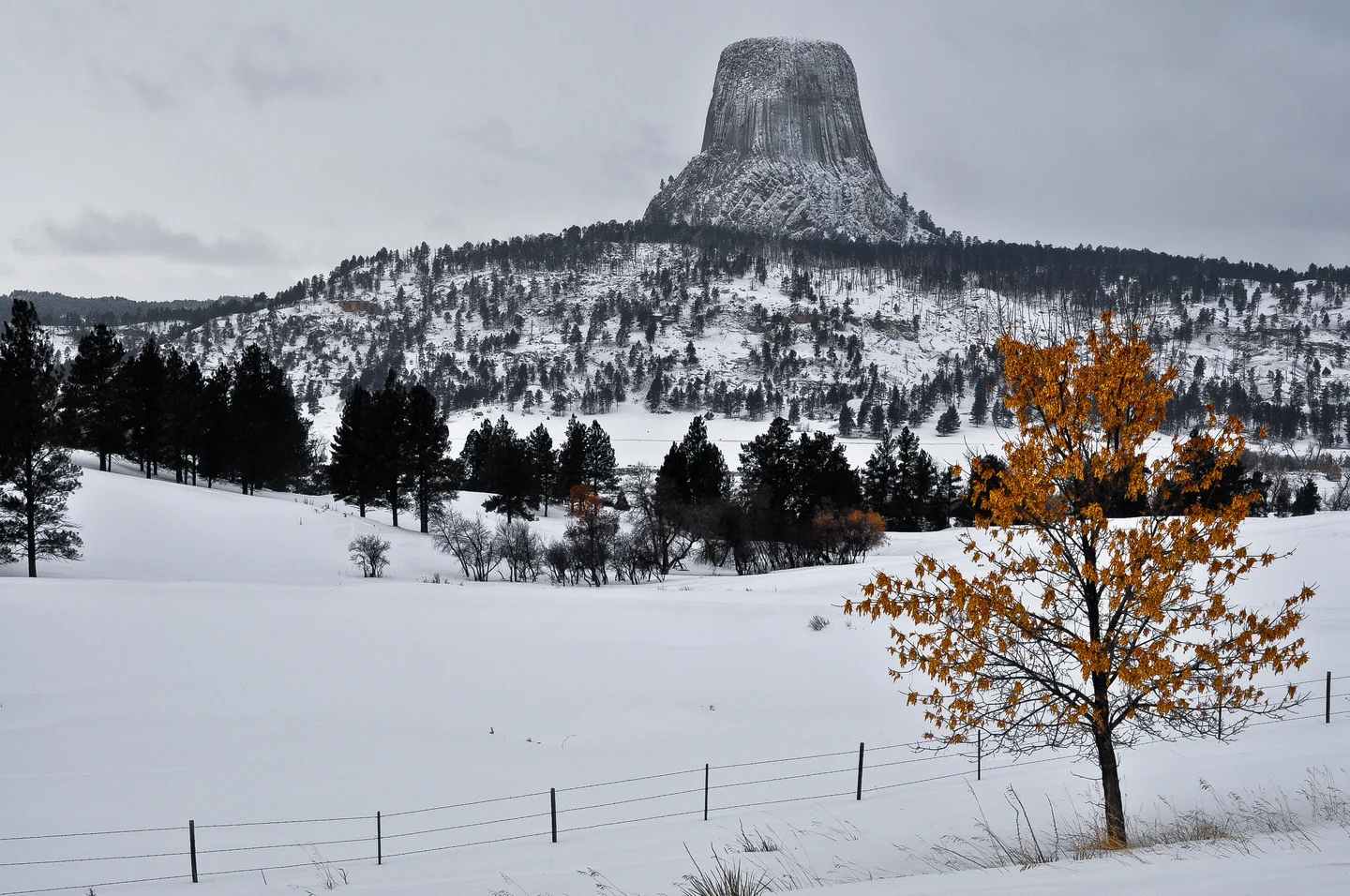 Devils Tower, Wyoming