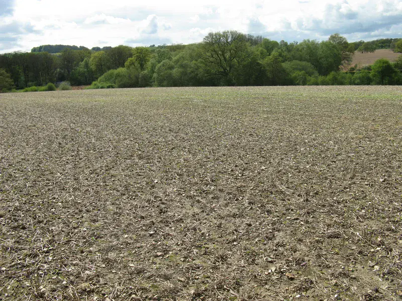 Earthworm middens in a no-till agricultural system