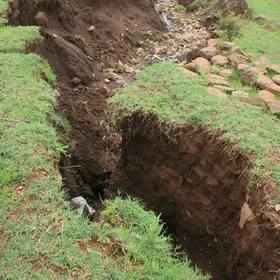 Gullies as a threat for farmers in the Fogera plain (northern Ethiopia)