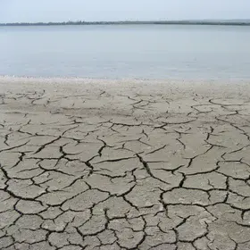 Larnaca Salt Lake
