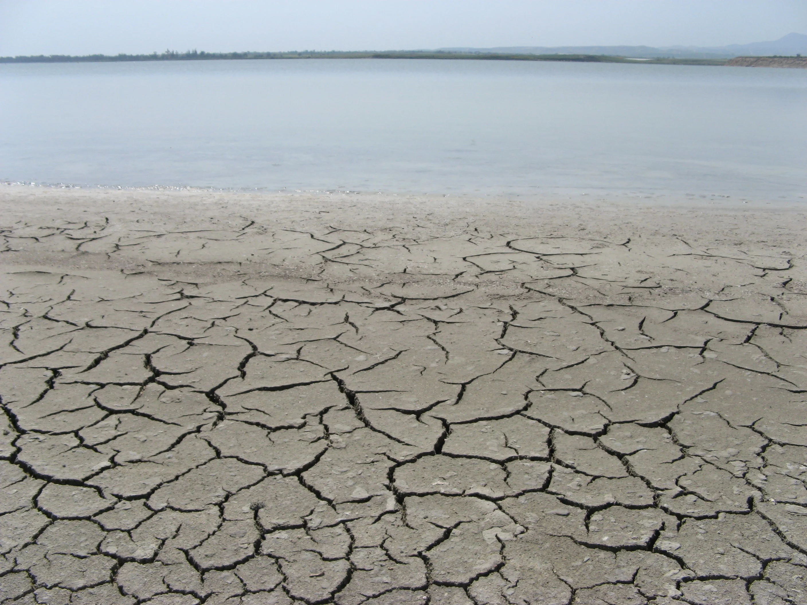 Larnaca Salt Lake