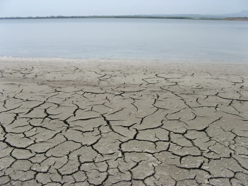Larnaca Salt Lake