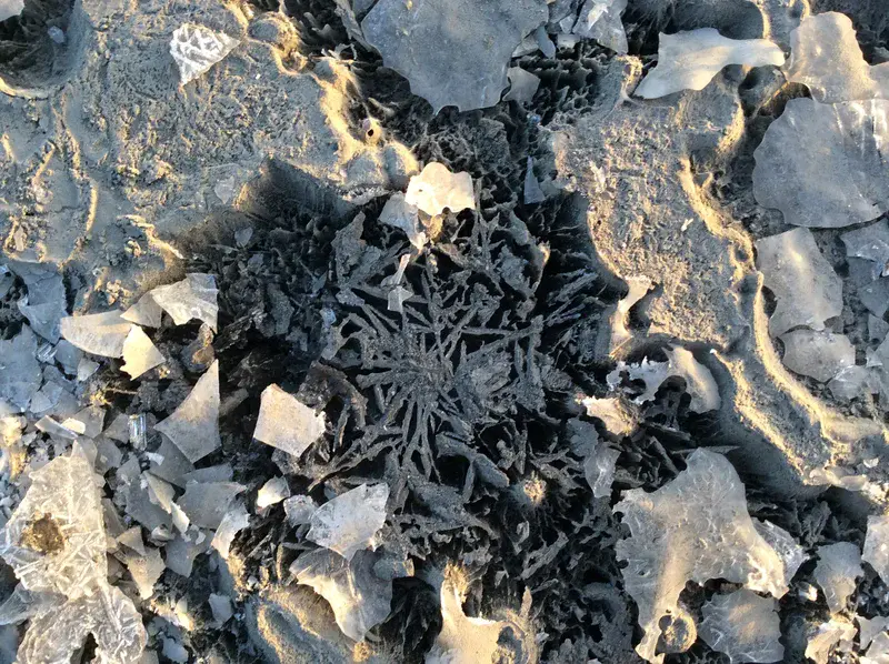 Frozen mud-cracks