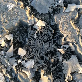 Frozen mud-cracks