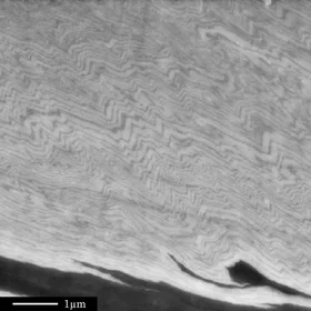 A fold belt within a grain