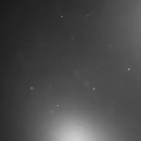 Meteorite-loving microbes: a dancing orchestra after a voyage through time and space