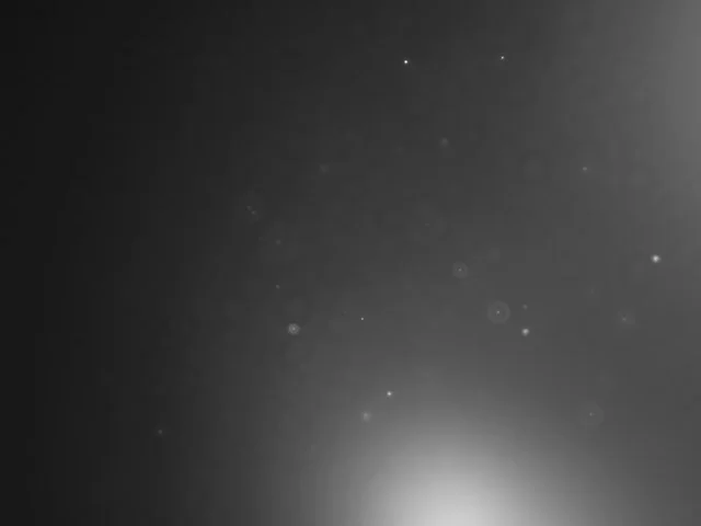 Meteorite-loving microbes: a dancing orchestra after a voyage through time and space