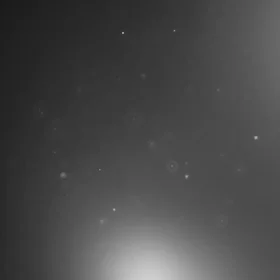 Meteorite-loving microbes: a dancing orchestra after a voyage through time and space