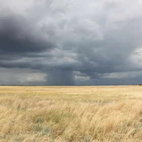 Volgogdrad's steppe