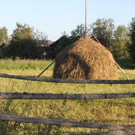 Arkhangelsk region