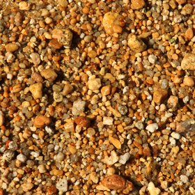 "Golden" Sand of Abel Tasman