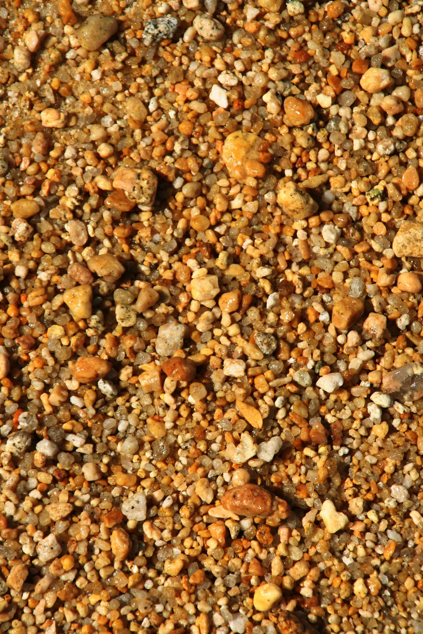 "Golden" Sand of Abel Tasman