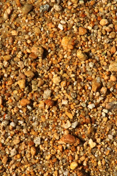"Golden" Sand of Abel Tasman