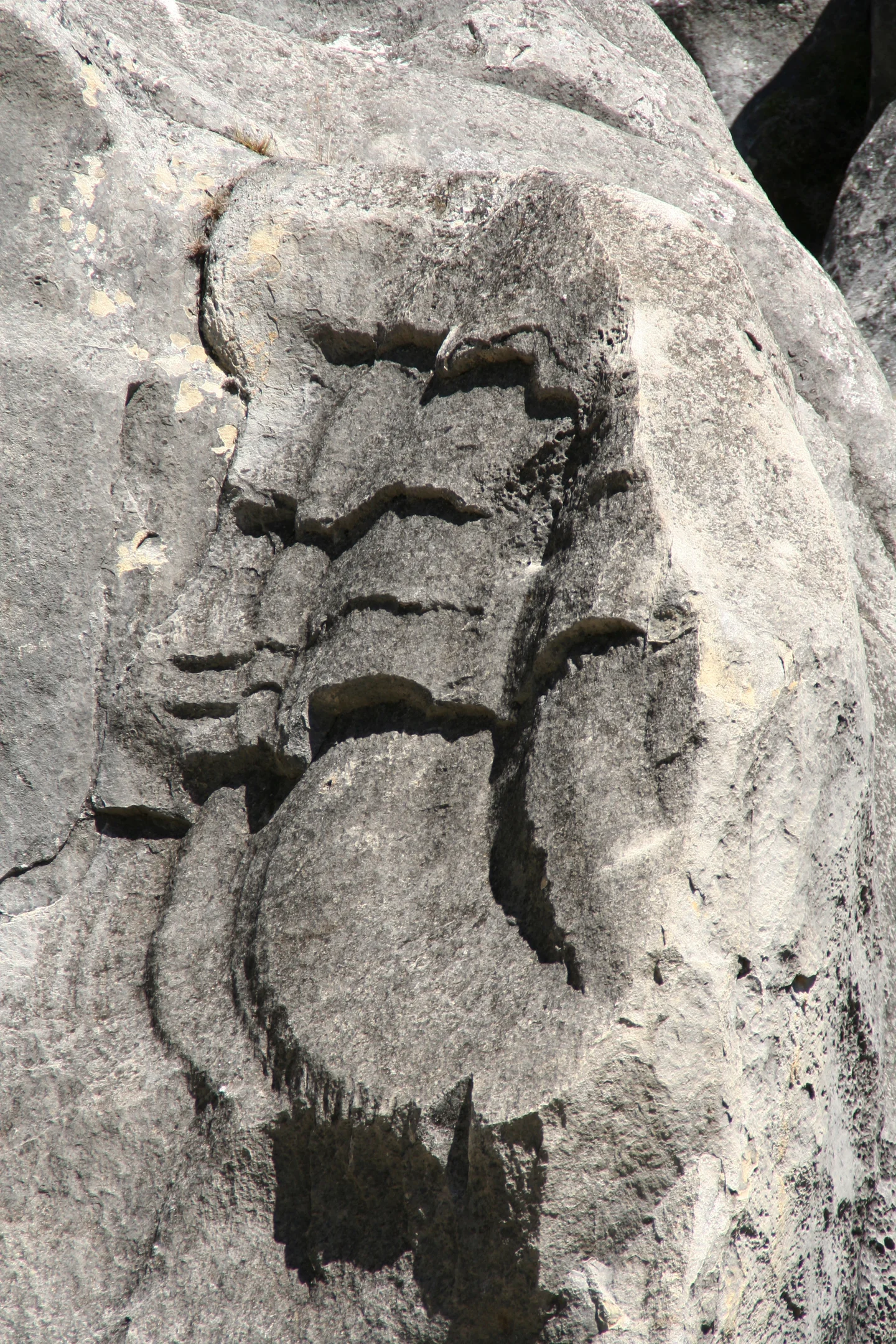 Natural bust?