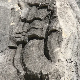 Natural bust?